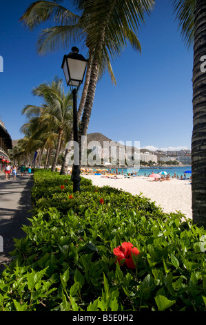 Anfi beach resort di lusso e viale costeggiato da palme in Arguineguin Gran Canaria meridionale Isole Canarie Spagna Foto Stock