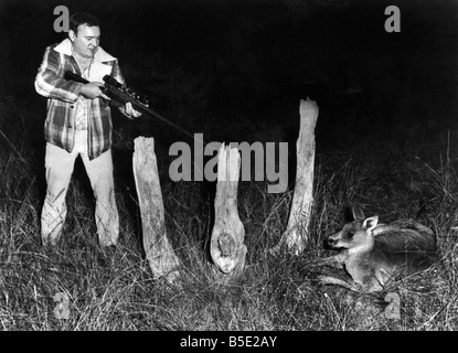 La caccia di canguro in Australia è prevista per i turisti che hanno uno strano desiderio di uccidere qualcosa mentre è in vacanza. ;I feriti kangaroo attende per il cacciatore di fuoco.;Giugno 1982 Foto Stock