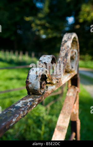 Un vecchio arrugginito cancello con vernice in scaglie Foto Stock