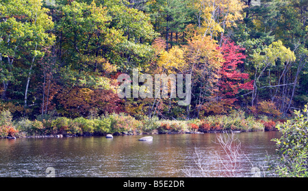 Un autunno colpo di scena lungo le rive del fiume Hudson in Adirondack State Park di New York. Foto Stock