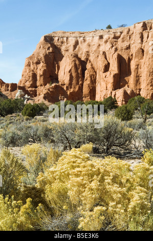 Kodachrome Basin Parco Statale, Utah, USA, America del Nord Foto Stock