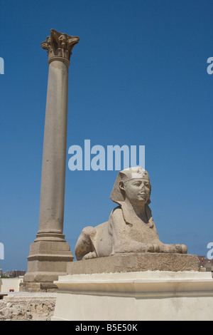 Pompeys pilastro di Alessandria d'Egitto Foto Stock