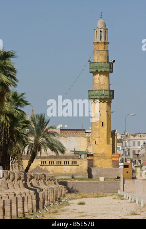 Viale di Sfingi a Luxor Tempio di Luxor in Egitto Foto Stock