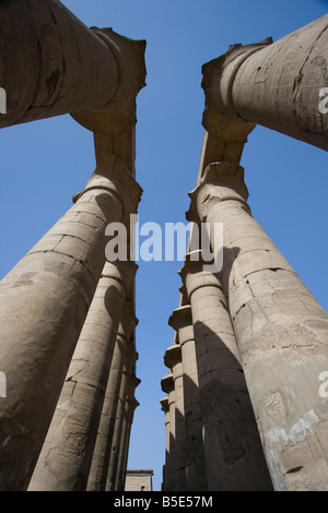 Colonnato di Amenhotemp III al Tempio di Luxor in Egitto Luxor Foto Stock