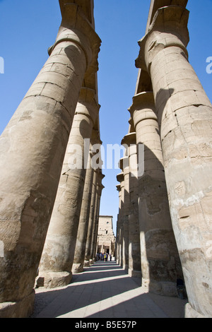 Colonnato di Amenhotemp III al Tempio di Luxor in Egitto Luxor Foto Stock