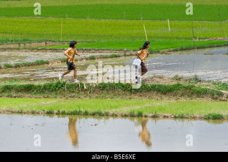 In ritardo per la scuola in Tana Toraja su Sulawesi in Indonesia Foto Stock