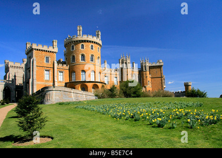 Belvoir Castle molla Daffodil fiori paesaggio Leicestershire County Inghilterra REGNO UNITO Foto Stock