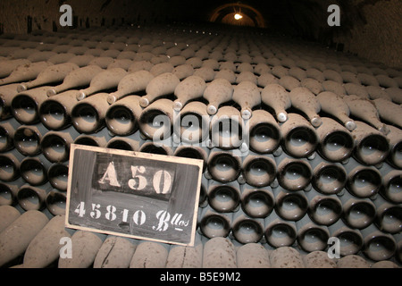 Moet et Chandon vecchio vintage polverose bottiglie di champagne presso le loro cantine capo ufficio, Epernay Francia orizzontale. 50643 Epernay2005 Foto Stock