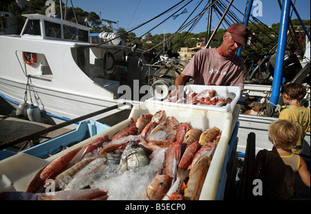 Pescatore con il suo bottino in porto, Maiorca, SPAGNA Foto Stock