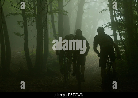 Tre piloti mountainbike guida attraverso una foresta scura Foto Stock