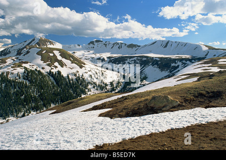 Paesaggio Innevato in giugno a indipendenza elevazione passa 12095 ft nei monti Sawatch parte delle Montagne Rocciose in Aspen Colorado Foto Stock