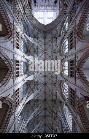 York Minster dettaglio a soffitto Foto Stock