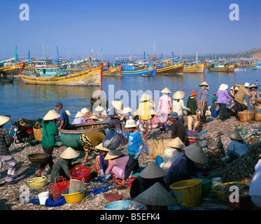 La gente del villaggio a raccogliere le catture di mattina da barca da pesca flotta, Mui ne, il centro-sud della costa, Vietnam, Indocina, Asia Foto Stock
