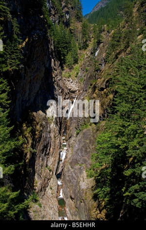 Gorge Creek Falls nel Parco Nazionale delle Cascate del Nord Washington Foto Stock