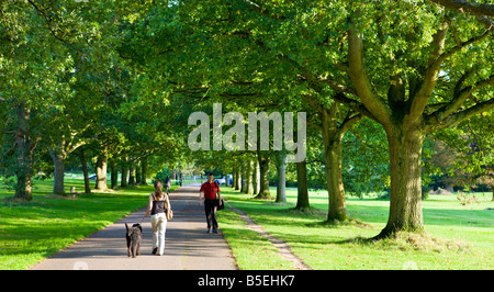 Walkers su un viale alberato nel comune di Southampton Hampshire Inghilterra Foto Stock