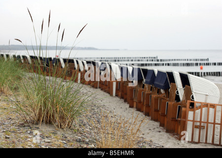 Spiaggia vuota sedie ed erba, Heiligendamm, Germania Foto Stock