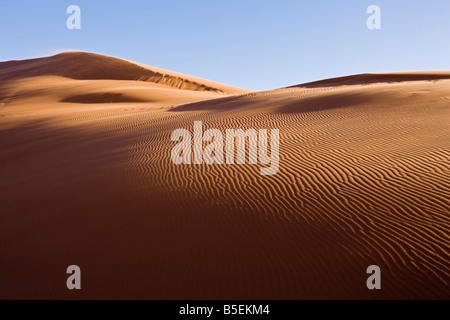 Africa, Namibia, Namib Desert Dune 45 Foto Stock