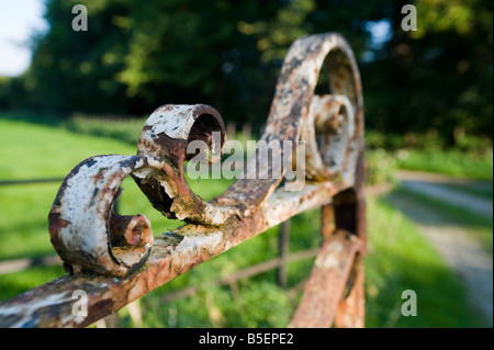 Un vecchio arrugginito cancello con vernice in scaglie Foto Stock