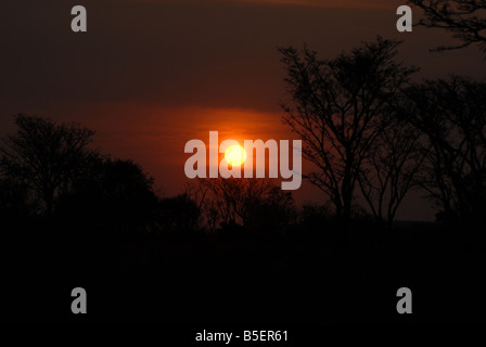 Sun set nel Waterberg riserva in Sud Africa. Eva-Lotta Jansson Foto Stock