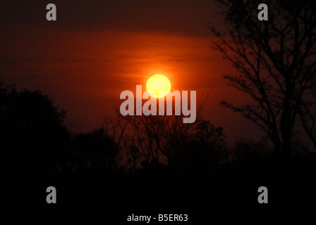 Sun set nel Waterberg nella riserva naturale del Sud Africa. Eva-Lotta Jansson Foto Stock