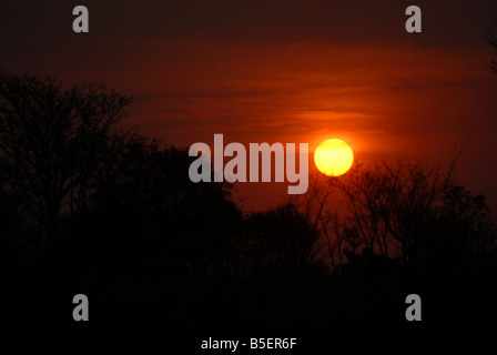 Sun set nel Waterberg riserva in Sud Africa. Eva-Lotta Jansson Foto Stock