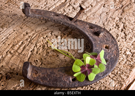 Ferro di cavallo e trifoglio vintage simboli di Fortuna Foto Stock