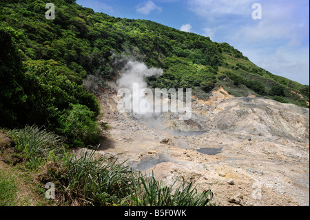 Pool di zolfo nel cratere del monte SOUFRIERE ST LUCIA S drive a Vulcano Foto Stock