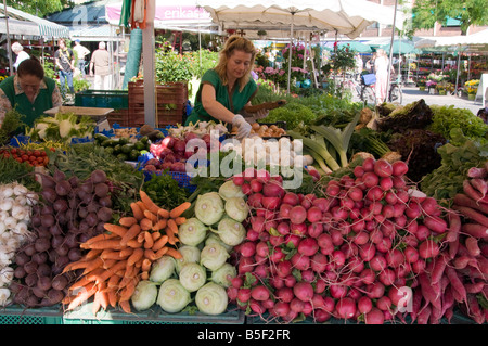 Ravanelli in vendita su uno stallo vegetale al Viktualienmarkt Monaco di Baviera Baviera Germania Foto Stock