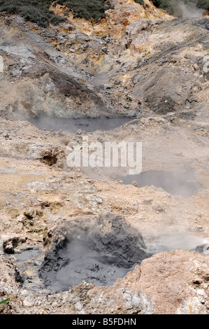 Pool di zolfo nel cratere del monte SOUFRIERE ST LUCIA S drive a Vulcano Foto Stock