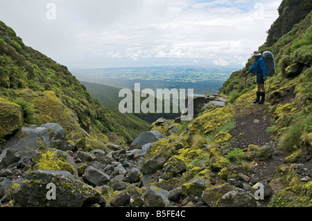 Sul giro del circuito di montagna, Pouakai via sezione, Mount Taranaki, Egmont National Park, North Island, Nuova Zelanda Foto Stock