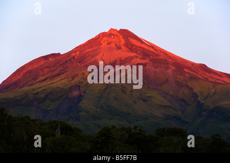 Mount Taranaki al tramonto dalla gola Waiaua capanna, intorno al circuito di montagna, Egmont National Park, North Island, Nuova Zelanda Foto Stock