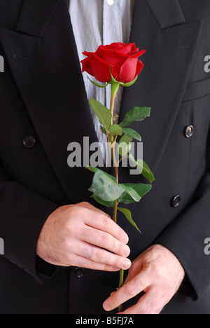 Man in black suit tenendo una rosa rossa Foto Stock