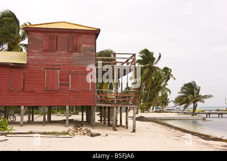 CAYE CAULKER BELIZE Casa su palafitte sulla spiaggia Foto Stock