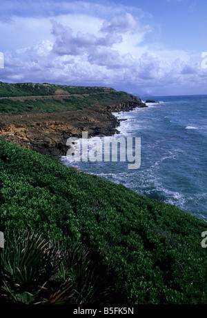 Alghero, south coast, Sardegna, Italia Foto Stock