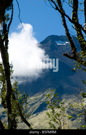 Mount Taranaki dal fiume sassosi, intorno al circuito di montagna, Egmont National Park, North Island, Nuova Zelanda Foto Stock