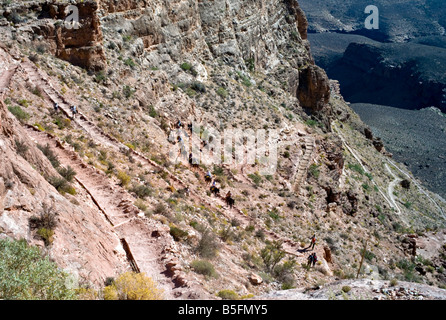 ARIZONA GRAND CANYON vertiginosi visualizza mulo treno piloti come essi venire fino a South Kaibab Trail attraverso ripidi tornanti Foto Stock