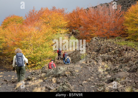 Gli escursionisti sul vulcano Etna il versante nord di entrare una patch di fall-foresta colorata Foto Stock