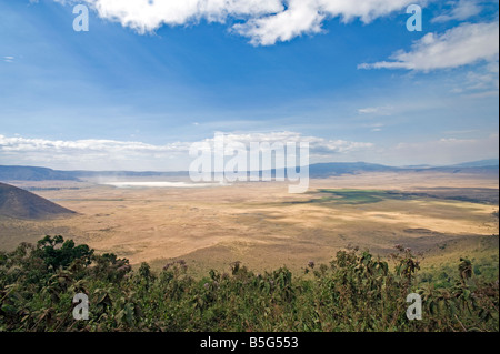 Vista panoramica del cratere di Ngorongoro durante la stagione secca il cratere si trova a circa 600m di profondità e 20km attraverso la Tanzania Foto Stock