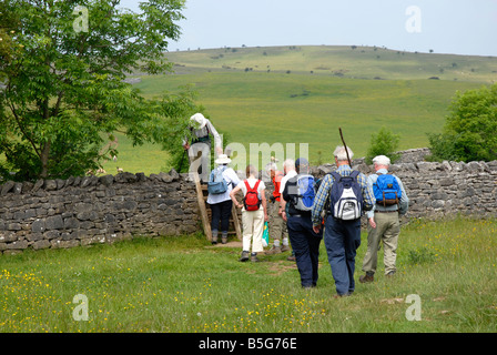 Gruppo di anziani walkers arrampicarsi su scala dando campo a campo accesso a secco su muro di pietra, Lake District inglese Foto Stock