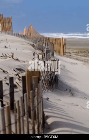 Weathered fending in legno su una spiaggia vuota alla fine dell'estate Outer Banks North Carolina USA Foto Stock