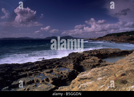 Alghero costa sud, Sardegna, Italia Foto Stock