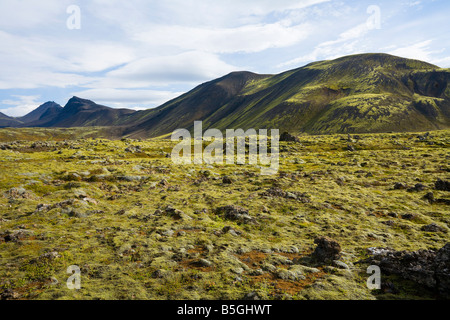 Campo di lava e di linea fissue vulcani nel parco nazionale di Þingvellir Islanda Foto Stock