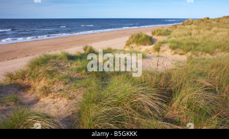 Holme dune riserva naturale sulla Costa North Norfolk Foto Stock