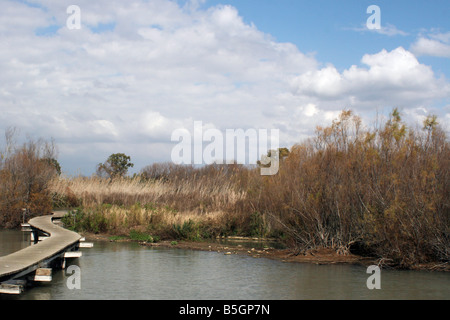 Israele, Distretto Settentrionale Ein Afek Riserva naturale sul fiume Naaman Foto Stock