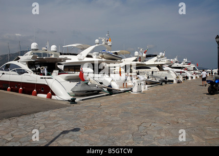 Barche di lusso moared presso il porto di Calvi in Corsica del Nord Foto Stock