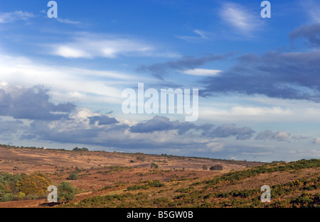 Blue Sky oltre alla brughiera a Ashdown Forest in East Sussex - posizione per le avventure di Winnie the Pooh Foto Stock