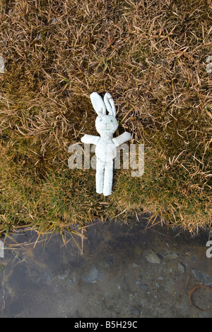 Bambino abbandonato s coniglio giocattolo posa su erba accanto a waters edge Abstract Foto Stock