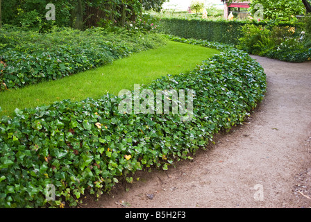 Uso efficace di massa di piante di copertura a prato la bordatura in Francia Foto Stock