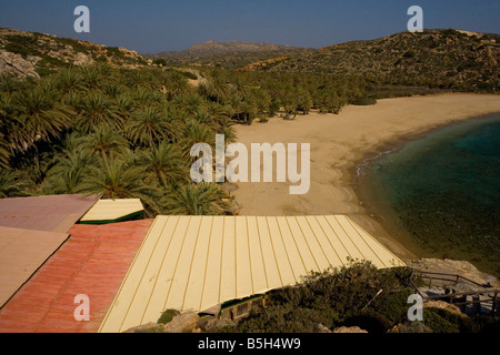 Data cretese Palm Phoenix theophrastii crescente sulla costa a Vai con edifici turistici sostituirci a est di Creta Foto Stock