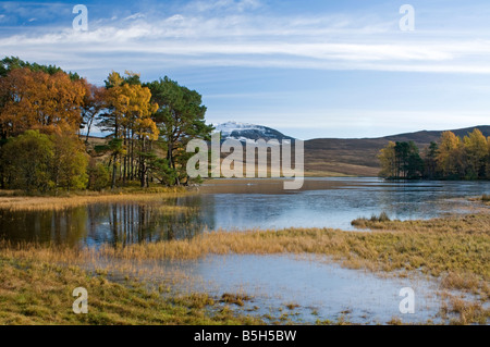 Loch Moraig, Lude nel parafango Glen Blair Atholl Perthshire Tayside Regione Scozia UK SCO 1104 Foto Stock